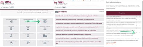 licencias en puebla|Citas en Línea